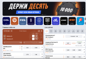Как оформить пари в винлайн